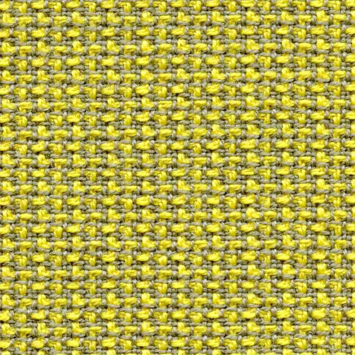 Plus Lemon